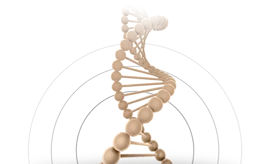 Congenital pathologies